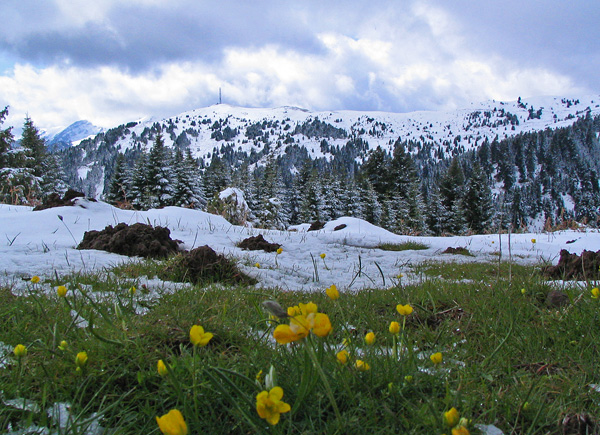 Snow in Plastiras Lake Mountains