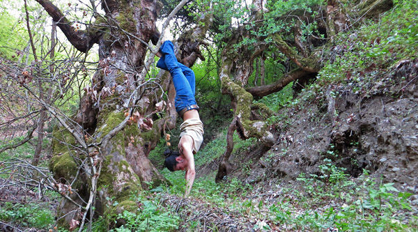 Handstand - Karditsa